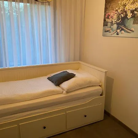 International Дом отдыха