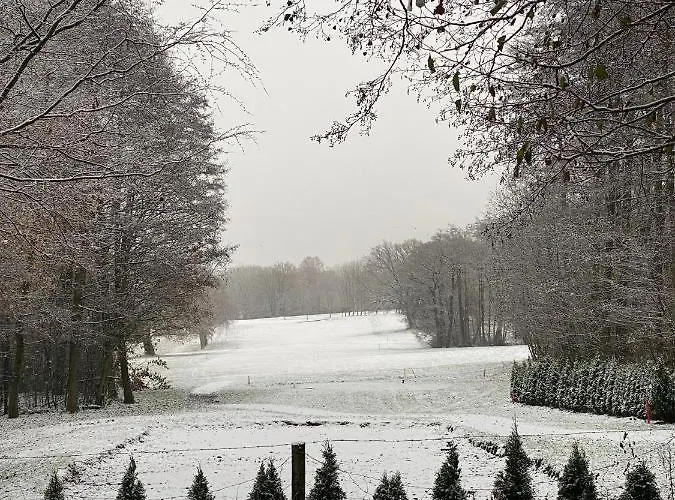 Nyaraló International